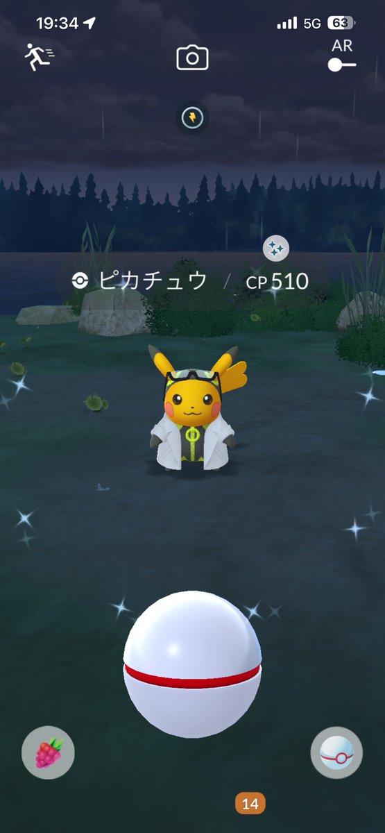 pitikinsandayo's tweet photo. 昨日の夜レイドたくさんやったら
ついに色ソルガレオと色ピカチュウが出てくれた！！！"(ﾉ*>∀<)ﾉ💖💖
最高すぎ〜✌(´>ω<｀)✌
#ポケモンGO #ポケモンGO色違い 
#ポケモンGOしてる人と繋がりたい 
#ポケモンGO好きな人と繋がりたい https://t.co/PH5lfmpGQZ