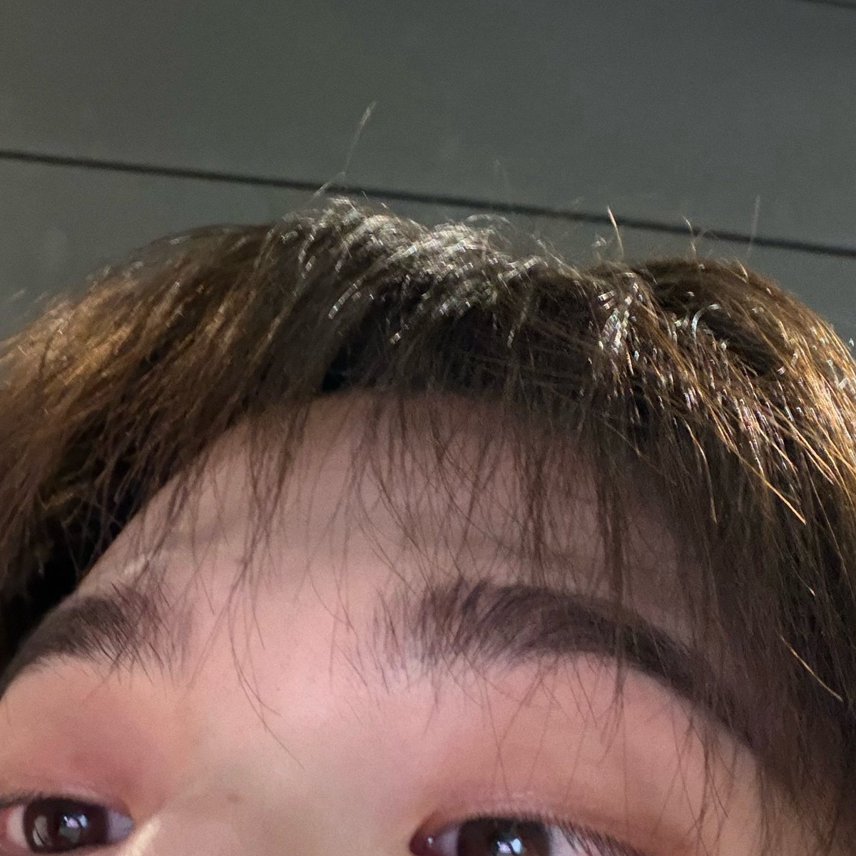 luvyudoz's tweet photo. you scroll down and there’s a cat ₍^. .^₎ https://t.co/7egGSHsbju
