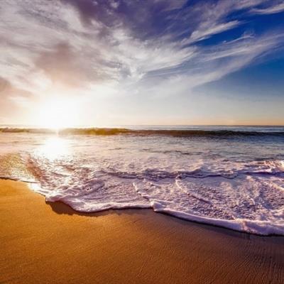 blanche5537's tweet photo. 🚀 🎌 🌻 🌹 🍬 Just saw a dog chase its tail, pure comedy https://t.co/NmHdPMXnOq