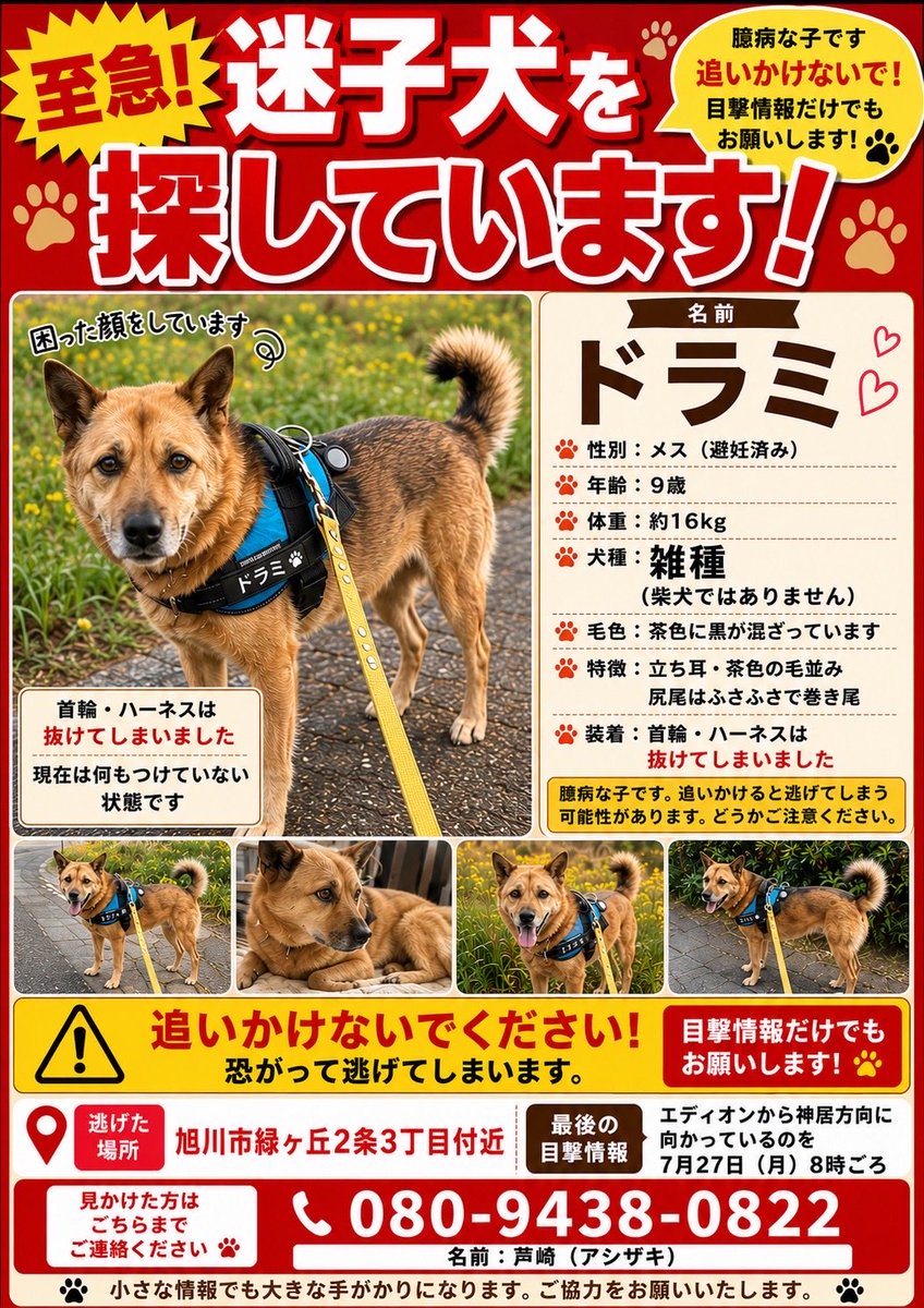choco20050211's tweet photo. https://t.co/MZoOU9tssz