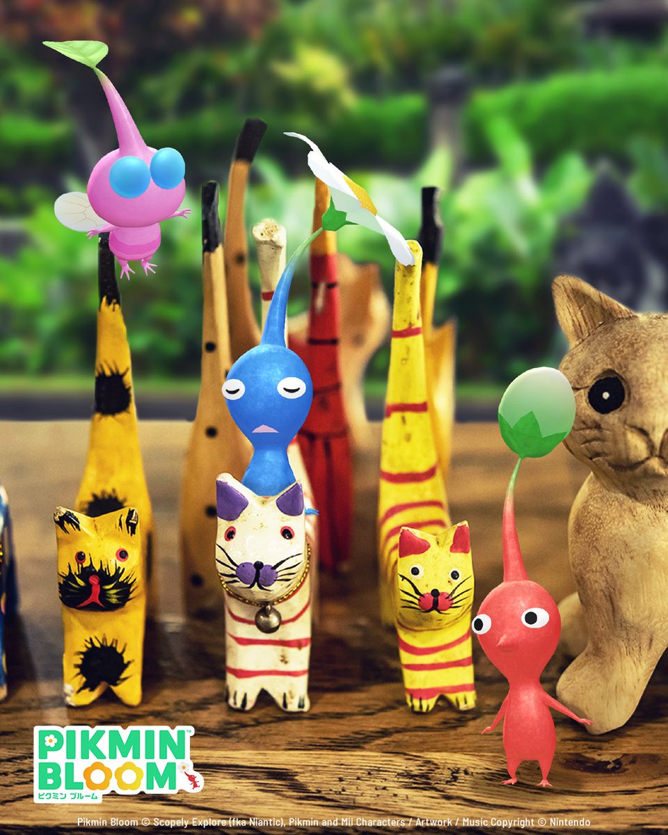 Pikmin Bloom Japan │ ピクミンブルーム tweet media