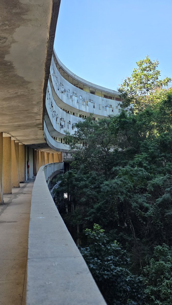 alejandrocsome's tweet photo. Hoy fuimos a conocer un conjunto residencial de vivienda social de los años 50s en Rio de Janeiro: El Conjunto Residencial Marquês de São Vicente.

Eduardo Affonso Reidy proyecto el volumen curvo de 330 unidades para reubicar a las familias de las favelas removida de Gavea en ese mismo barrio. El único bloque construido de cinco proyectados, permitieron ser un importante capítulo de la "Habitación Popular" en Rio de Janeiro por saldar su deuda historica con una parte de la sociedad desplazada por los daños colaterales de la colonización, de las guerras imperiales, de la esclavitud, de las epidemias y revueltas sanitarias, de la geografía que asedia.

No alcanzó, no alcanza y posiblemente no alcance, pero la historia pide no abandonar e intentar, porque es el pasado pero tambien el futuro el que necesita que no se claudique.

¿Que sería de la estantería de intentos sin figuras como Carmen Velasco Porthino? Ingeniera Civil, hija de una migrante boliviana y un gaúcho del sur, que se enfrento a todas las barreras que le impusieron sus colegas para ejercer y que la llevo a estar al frente del Departamento de Habitación Popular para no dejar de intentarlo.

Un conjunto que copia la cota de nivel del morro situndo la planta de accesos a los departamentos en un sector privilegiado del paisaje. A la derecha el morro lleno de mata atlántica, a la izquierda la pendiente y el paisaje dominado por el Cristo Redentor.

Pensar el mejor lugar posible para que todos los dias la gente mas desfavorecida pueda tener una parte de esa realidad que para otros (y durante generaciones) ya es costumbre: imaginar un futuro posible.

Nunca se trató -ni se trata- de utopías. Por el contrario, se trata de unir un tejido real rotos y desgarrado con lo que cada uno puede dar.

En este caso: una casa.
Seguimos caminando.