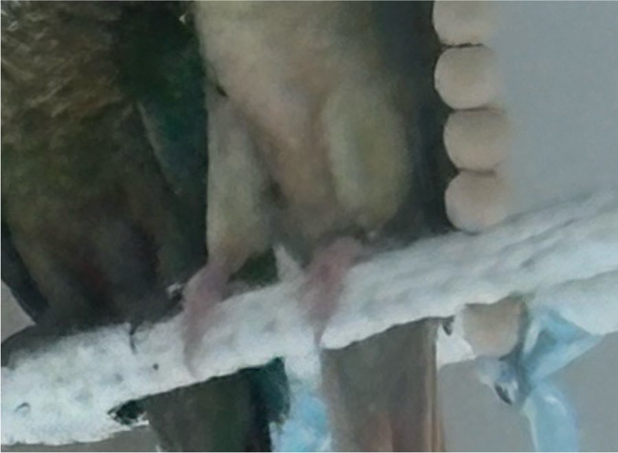 ru_rurulu tweet picture