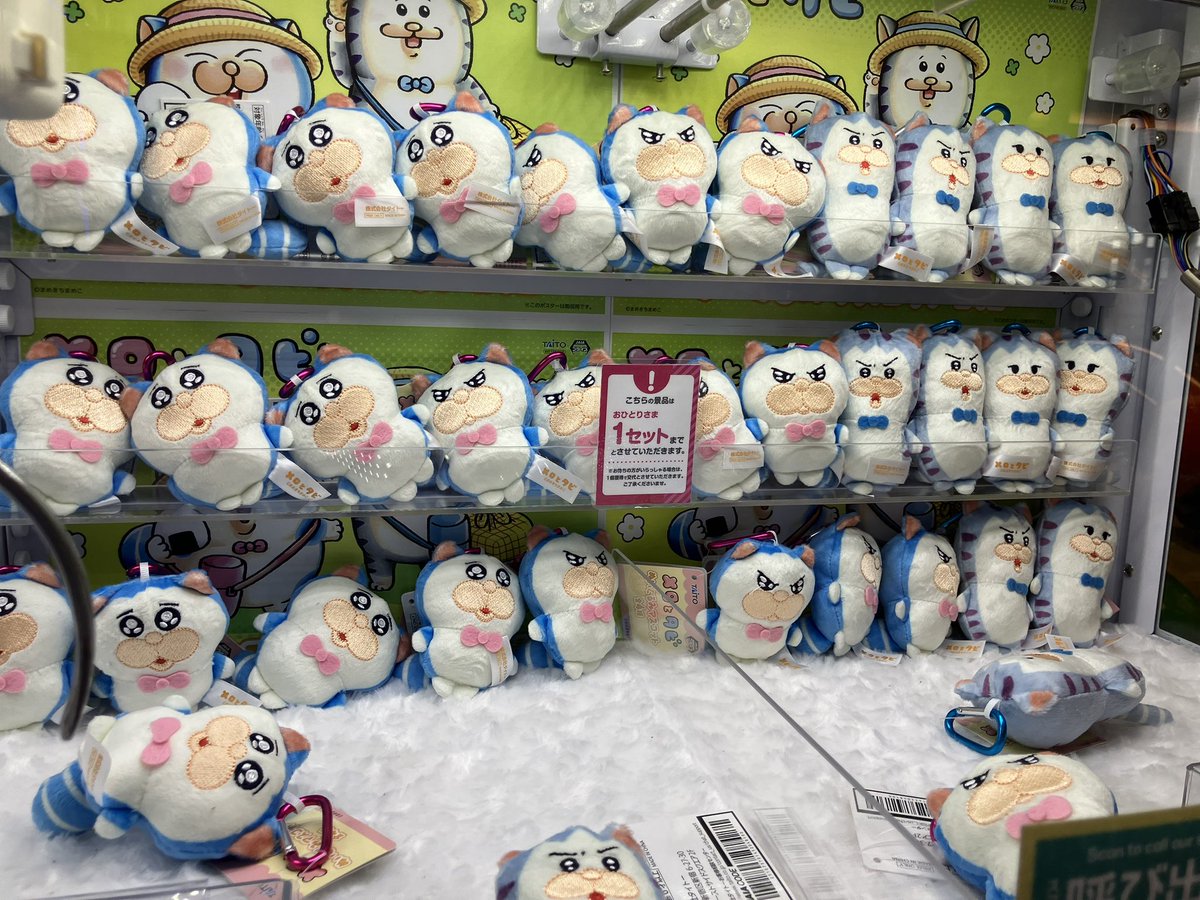 GiGO_Ariake's tweet photo. 【新着景品情報】
#メロとタビ ぬいぐるみマスコット

入荷いたしました！

ぜひゲットしてくださいね🎶
ご来店お待ちしております。

#メロとタビ　
#GiGOのお店 
#GiGO有明ガーデン https://t.co/91oXrATKnS