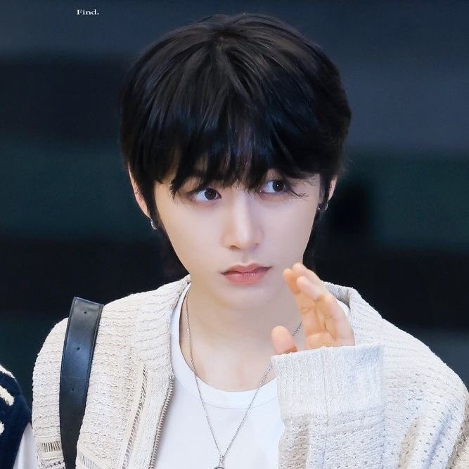 댕댕이 tweet media
