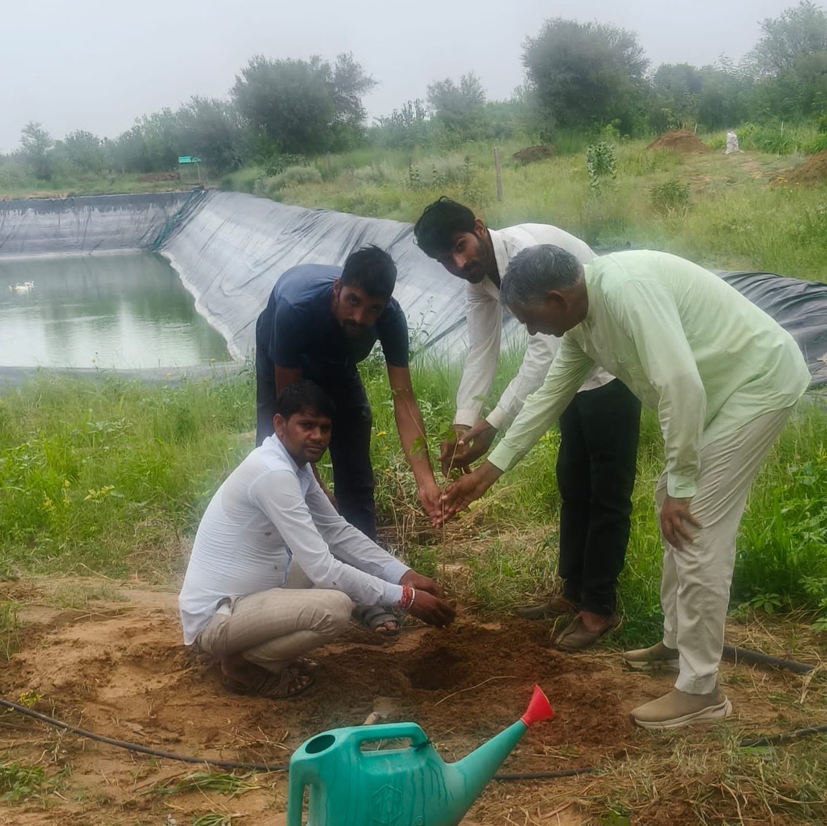AwanaSurendra's tweet photo. #s_awana_plantation https://t.co/iZvtlwTD60