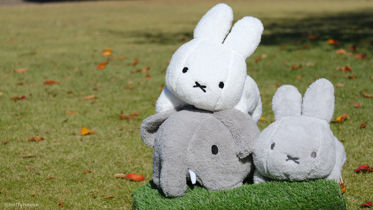 miffyhouse_info's tweet photo. 40℃は

10℃下がっても30℃ https://t.co/MrcgoD6Bm6