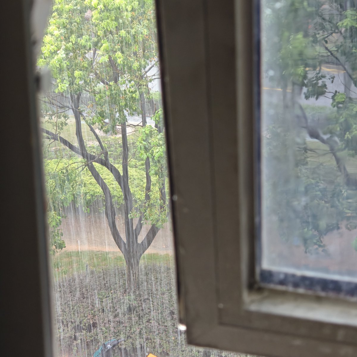 3a3iu's tweet photo. 暴雨，超适合在家睡觉的，为什么我在上班啊？ https://t.co/2f4Z7nZCQU