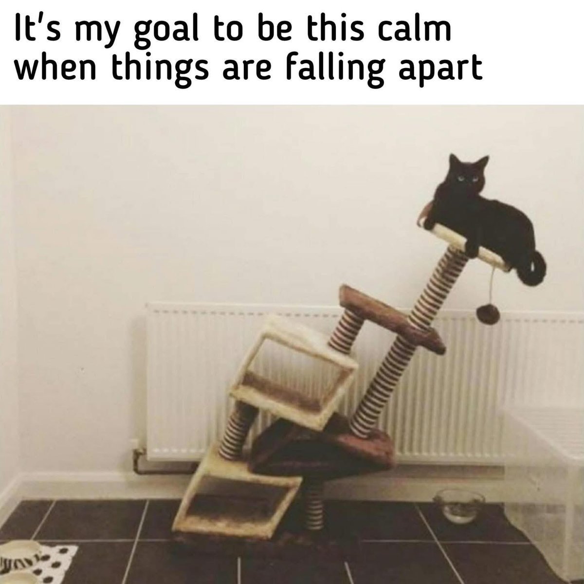DVMFocus's tweet photo. #DVMFocus #Veterinarian #DVM #VetMed #VetJobs #VeterinaryJobs #HiringVeterinarians #VeterinaryCareers #AssociateVeterinarian #VetRecruitment #VeterinaryRecruiter #VetLife #SmallAnimalVet #EmergencyVet #NewGradVet #VetMedCommunity #VeterinaryProfession https://t.co/ALEet3kkgR