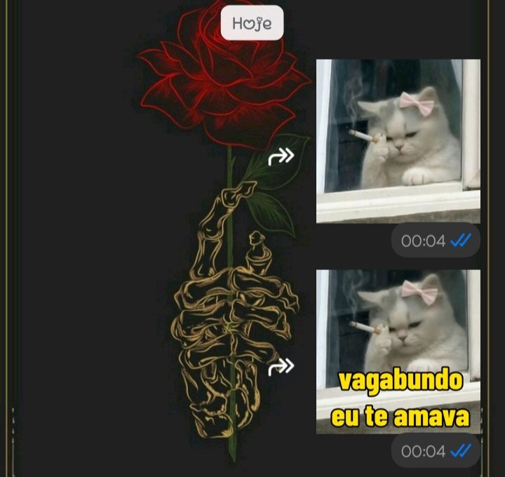 flavinhabear's tweet photo. @antihxero Desse jeito https://t.co/1GGTC6ub7k