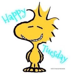 snoopyandfrien6's tweet photo. Happy Tuesday https://t.co/2K0qFyw0kc