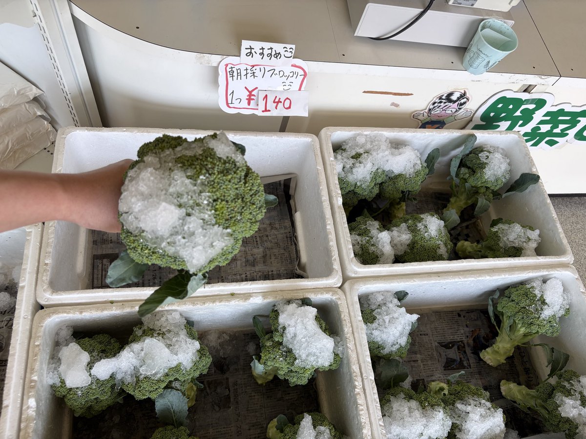 ryo4503's tweet photo. ゆうゆう野菜直売所営業中です
＼( ´･ω･`)┐タッ 🍅🥒🧄
写真はPM12時10分現在販売している
野菜です
お待ちしてます
#湧別
#野菜
#切り花
朝採り
#きゅうり
#トマト
#ミニトマト
シソジュースに
#赤紫蘇
#紫玉ねぎ
#にんにく https://t.co/eqJEFoJssY