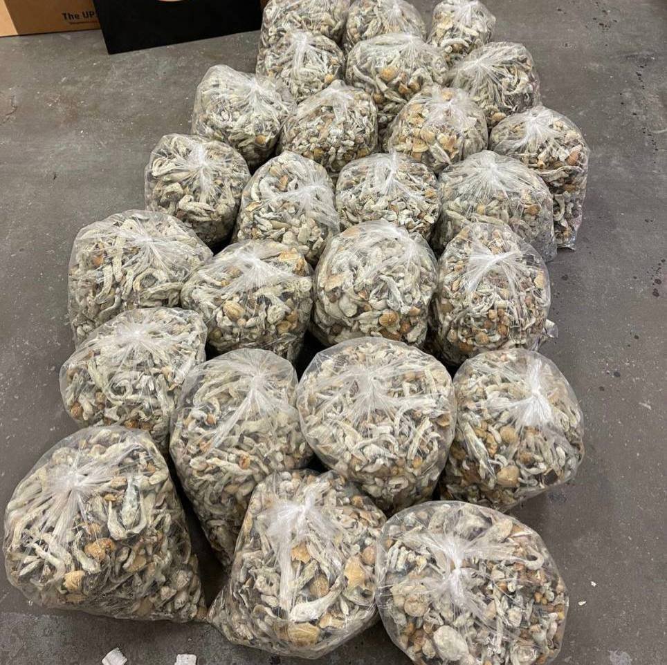 GreencloudCO's tweet photo. Weed Detroit Weed Grand Rapids Weed Warren Weed Sterling Heights Weed Ann Arbor Weed Lansing Weed Flint Weed Dearborn Weed Livonia Weed Troy Weed Kalamazoo Weed Saginaw Weed Holland Weed Battle Creek Weed Muskegon https://t.co/yH5b5vp4N8