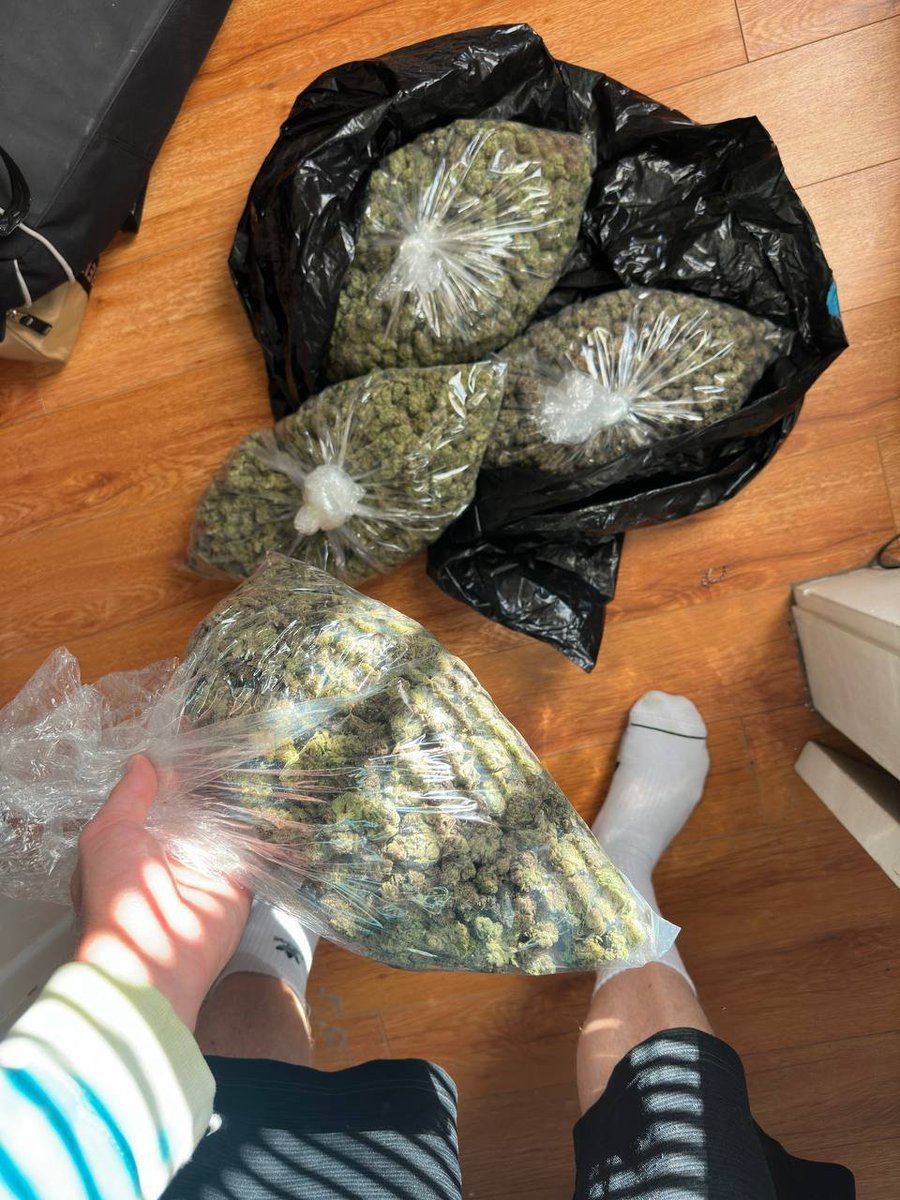 GreencloudCO's tweet photo. Weed Detroit Weed Grand Rapids Weed Warren Weed Sterling Heights Weed Ann Arbor Weed Lansing Weed Flint Weed Dearborn Weed Livonia Weed Troy Weed Kalamazoo Weed Saginaw Weed Holland Weed Battle Creek Weed Muskegon https://t.co/yH5b5vp4N8