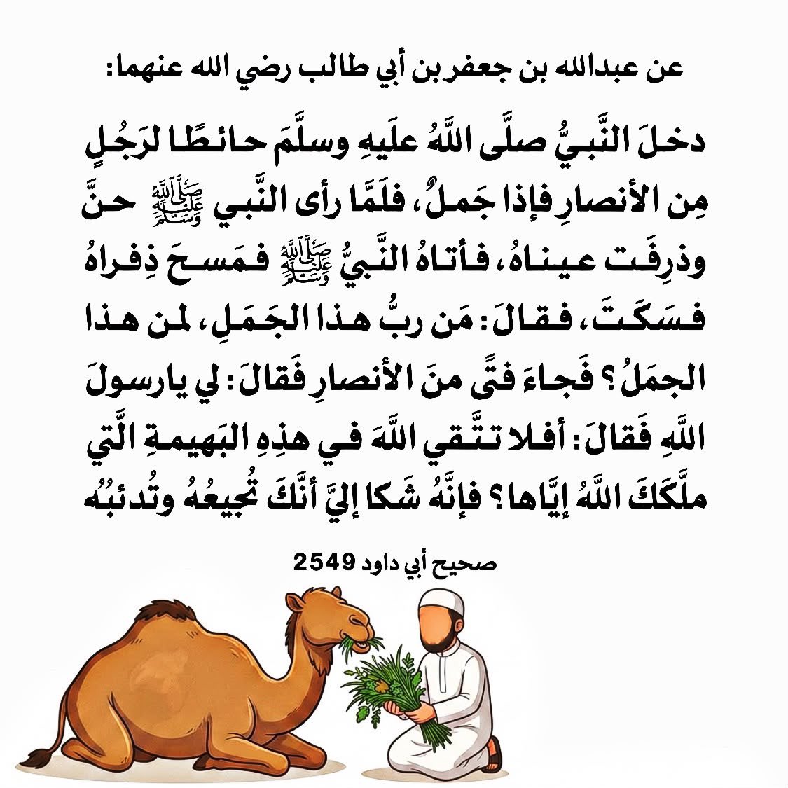 dsj_vb's tweet photo. #اليوم_الوطني_96 https://t.co/Id3qgSbANG