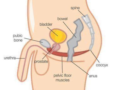 vidaysalud00's tweet photo. ¿Quieres durar más y rendir mejor en la cama?

Estos 8 alimentos aumentan tu resistencia sexual y tu libido.
No es magia, es biología.

Guarda este hilo.🧵👇 https://t.co/qebi87HXBh