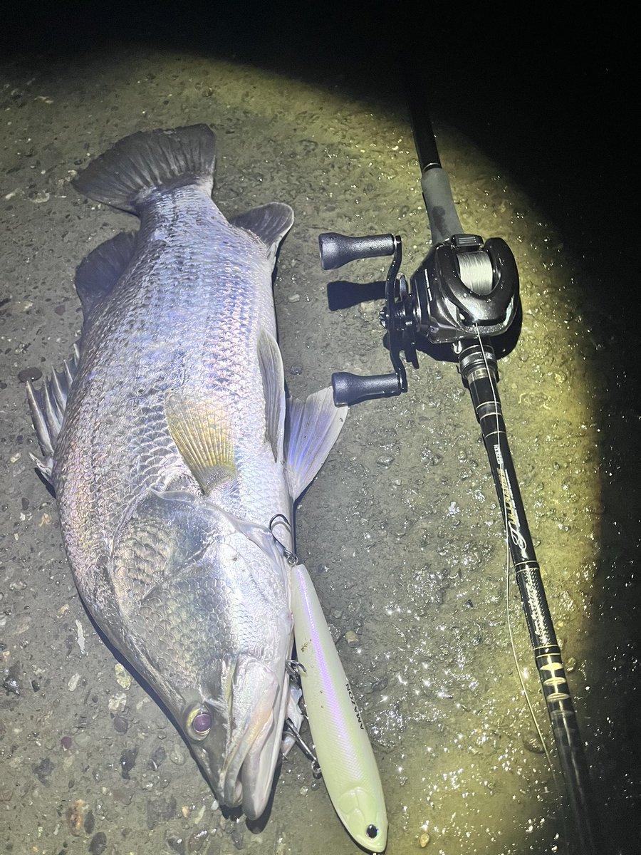 koki_fishing04's tweet photo. 高知遠征1日目
着いてすぐ小ぶりですが釣れてくれました

運転の疲労で体調悪かったのですが頑張ってリリースまで素早くできて良かったです😊
雰囲気あると釣りしながら緊張しますね笑 https://t.co/YwXvFaMsV3
