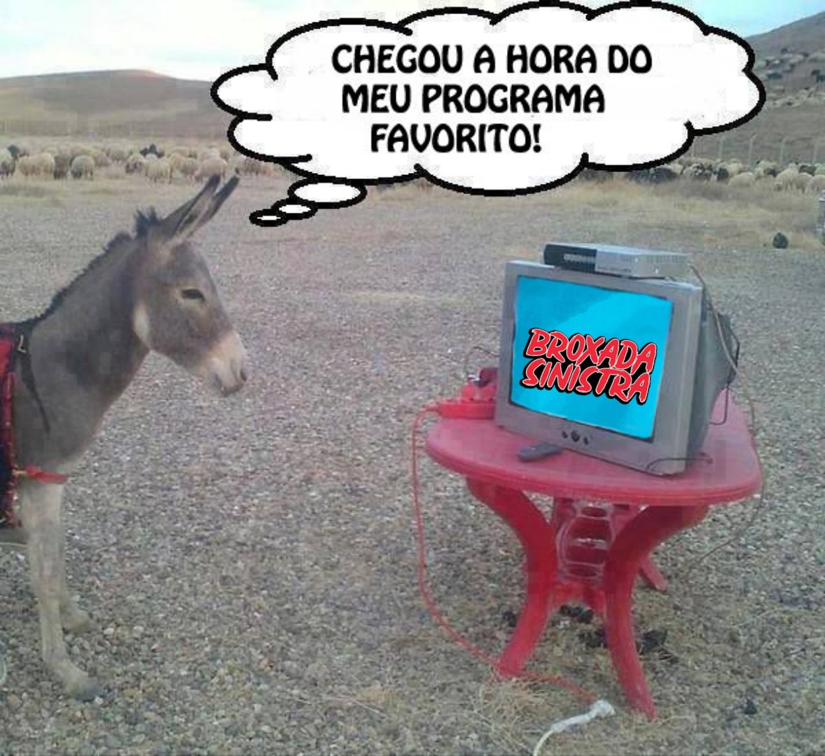 DANSKIBEATS's tweet photo. https://t.co/mdSLHbMs6p