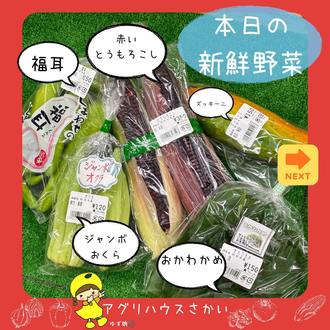 JAmachidashi's tweet photo. 【アグリハウスさかい】
本日も新鮮な地場野菜が入荷しています🎶
店舗スタッフが大和ルージュでとうもろこしご飯を作ってみました😊
みなさんもぜひチャレンジしてみてください🌽
ご来店お待ちしております🌻

#JA　#町田市　#地産地消　#まちベジ　#酷暑　#夏野菜　#大和ルージュ https://t.co/NlBsMmTdzv