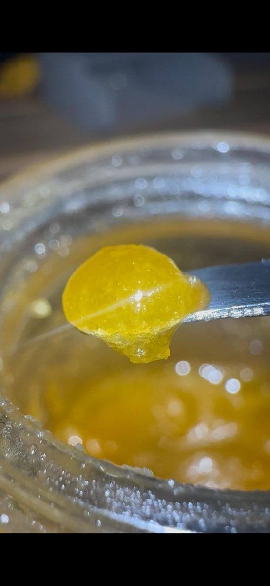 GreencloudCO's tweet photo. Weed Jackson Weed Gulfport Weed Southaven Weed Hattiesburg Weed Biloxi Weed Meridian Weed Tupelo Weed Greenville Weed Olive Branch Weed Horn Lake Weed Starkville Weed Oxford Weed Vicksburg Weed Pascagoula Weed Natchez https://t.co/tUqaWdStsG