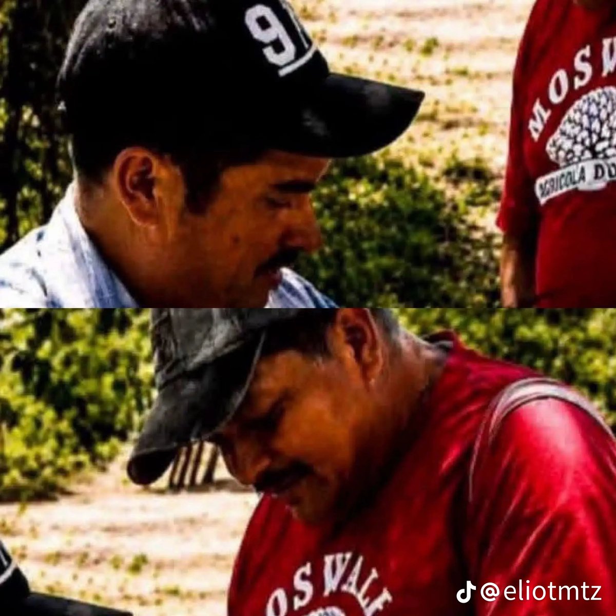 JAVIER. México en resistencia civil. tweet media