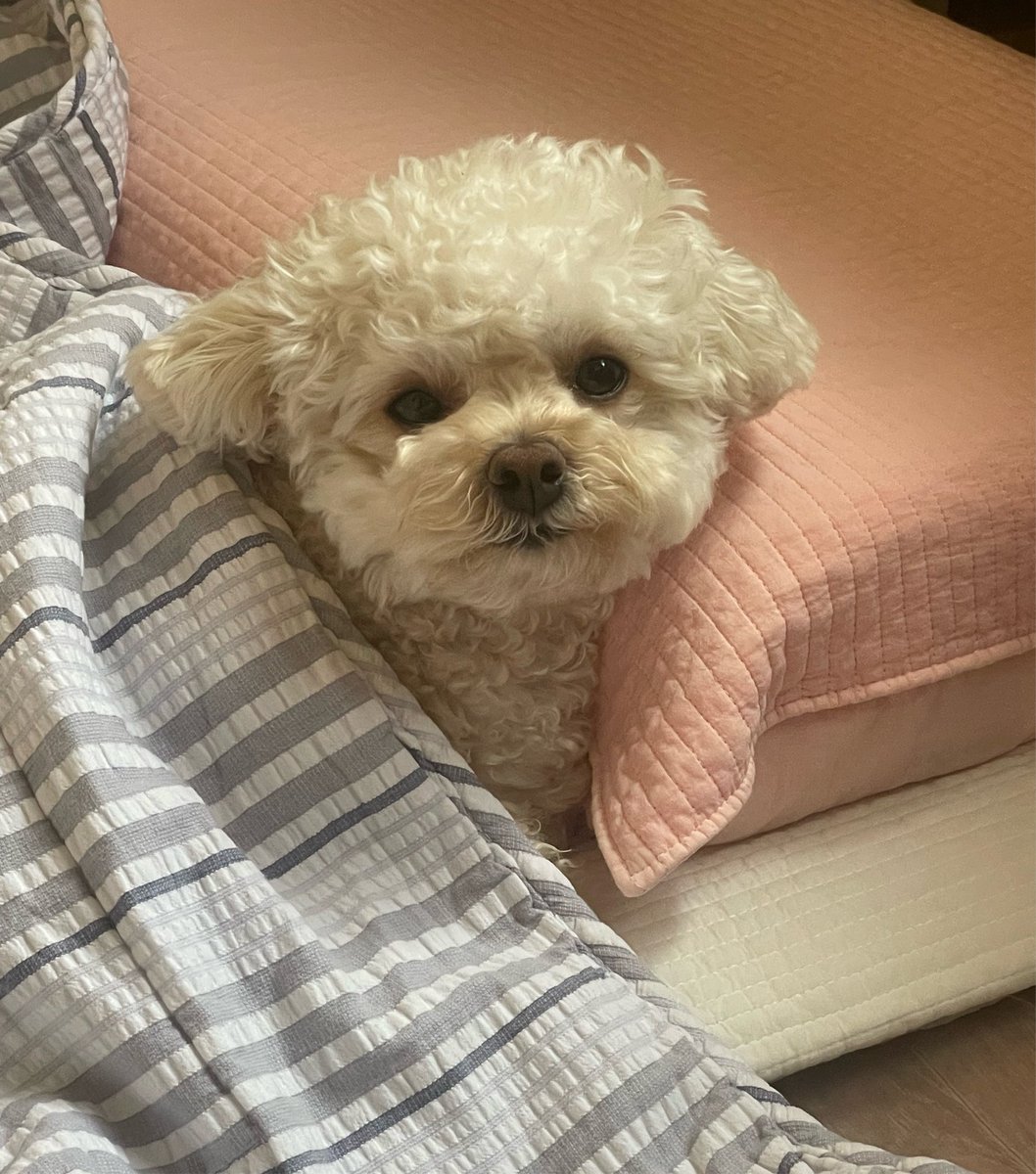 riceglue_choi's tweet photo. 아녕히 주무셧서요 https://t.co/YwoSNyhRAr