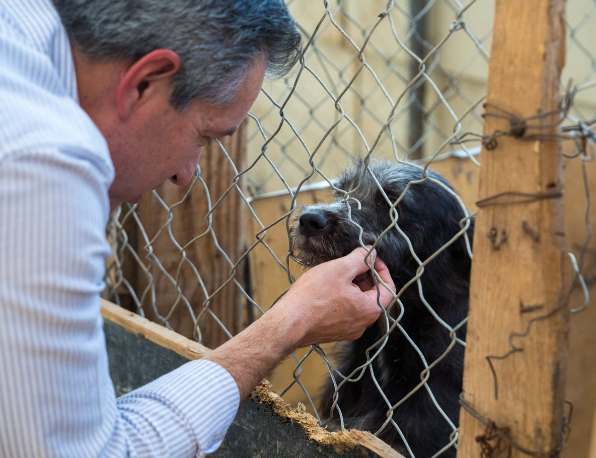 DelValleColosio's tweet photo. Regresamos a visitar a los lomitos de Patitas Unidas. ❤️🐶

Llevamos alimento y un tinaco, pero aún necesitan paseos, alimento, medicamentos, pipas de agua, desparasitantes y material para el refugio. 🐾

#Adopta 
 Juntos podemos cambiar más vidas. 🐕 https://t.co/G9RnrLwoCH