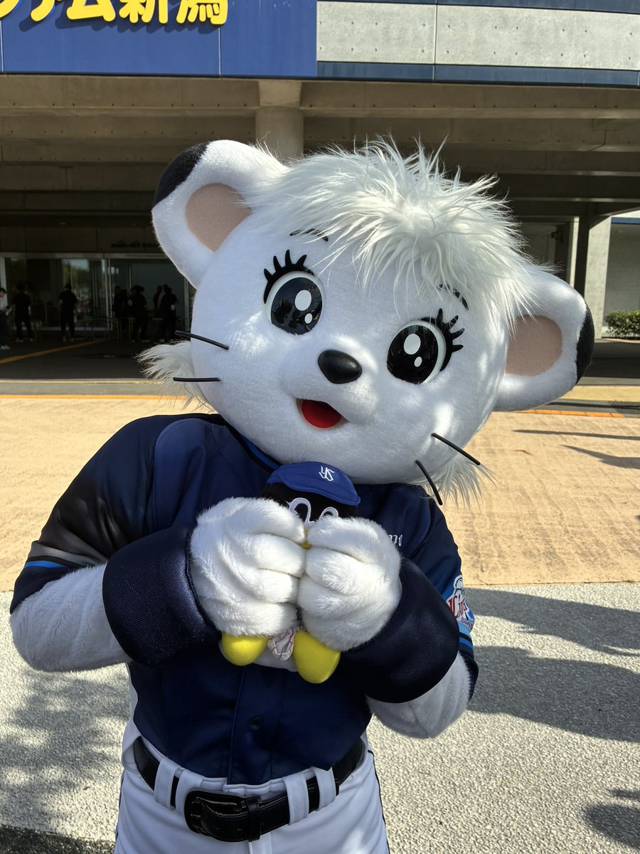 peiBow38's tweet photo. ライナ、お座りつばみで遊ぶ

マーくんアクスタも付けてる笑

#seibulions  #ライナ #フレッシュオールスター #swallows  #つばみ  #つばみちゃん  #chibalotte #mar_kun https://t.co/SUhQYx2jIf