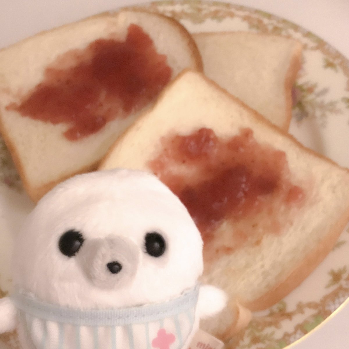 0ltoffe's tweet photo. 🍞🎶 https://t.co/5xuuILdUp9