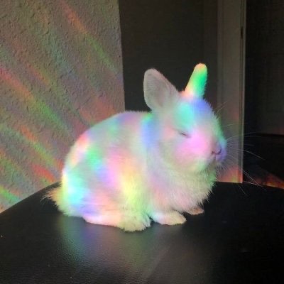 ShouldHaveRabit's tweet photo. https://t.co/C4d8AtqeNS