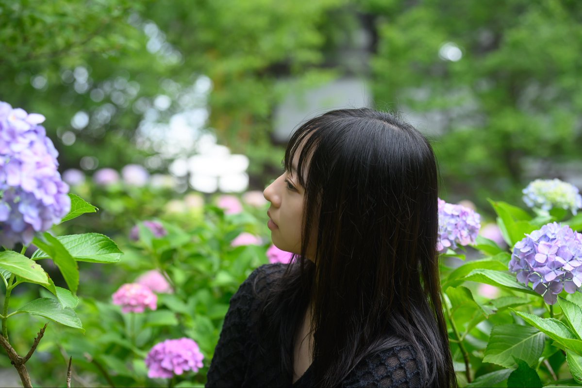 E1Sbv's tweet photo. はーちゃん せんせー@honeyxxx02 

#はーちゃんせんせー 
#紫陽花 
#ポートレート撮影 
#私とニコンで見た世界 
#ファインダー越しの私の世界ᅠ https://t.co/Rjgt9vGZTB