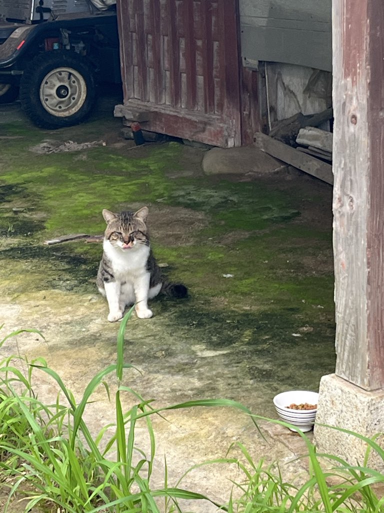 hiro_ibo's tweet photo. 今朝は早朝から待ってました😂
待ってるというか住んでるかもしれません笑 https://t.co/d4GZq58Vt9