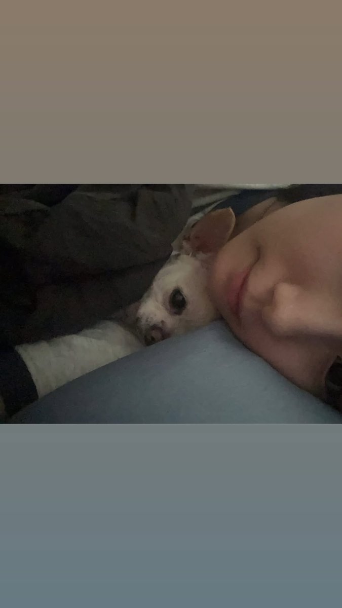 SYEGLOBAL's tweet photo. [📷] 260728 0.e_na (YOUNGEUN) instagram story update

1. warm
2. paw nyam nyam
3. pretty seo sarang
4. with 2 daughters 

#YOUNGEUN #서영은 #ヨンウン https://t.co/NGntXyqEzl
