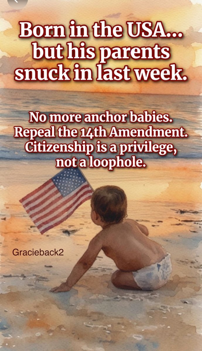 gracieback2's tweet photo. Do you support repealing this 14th amendment? https://t.co/EHwI4vdQeF
