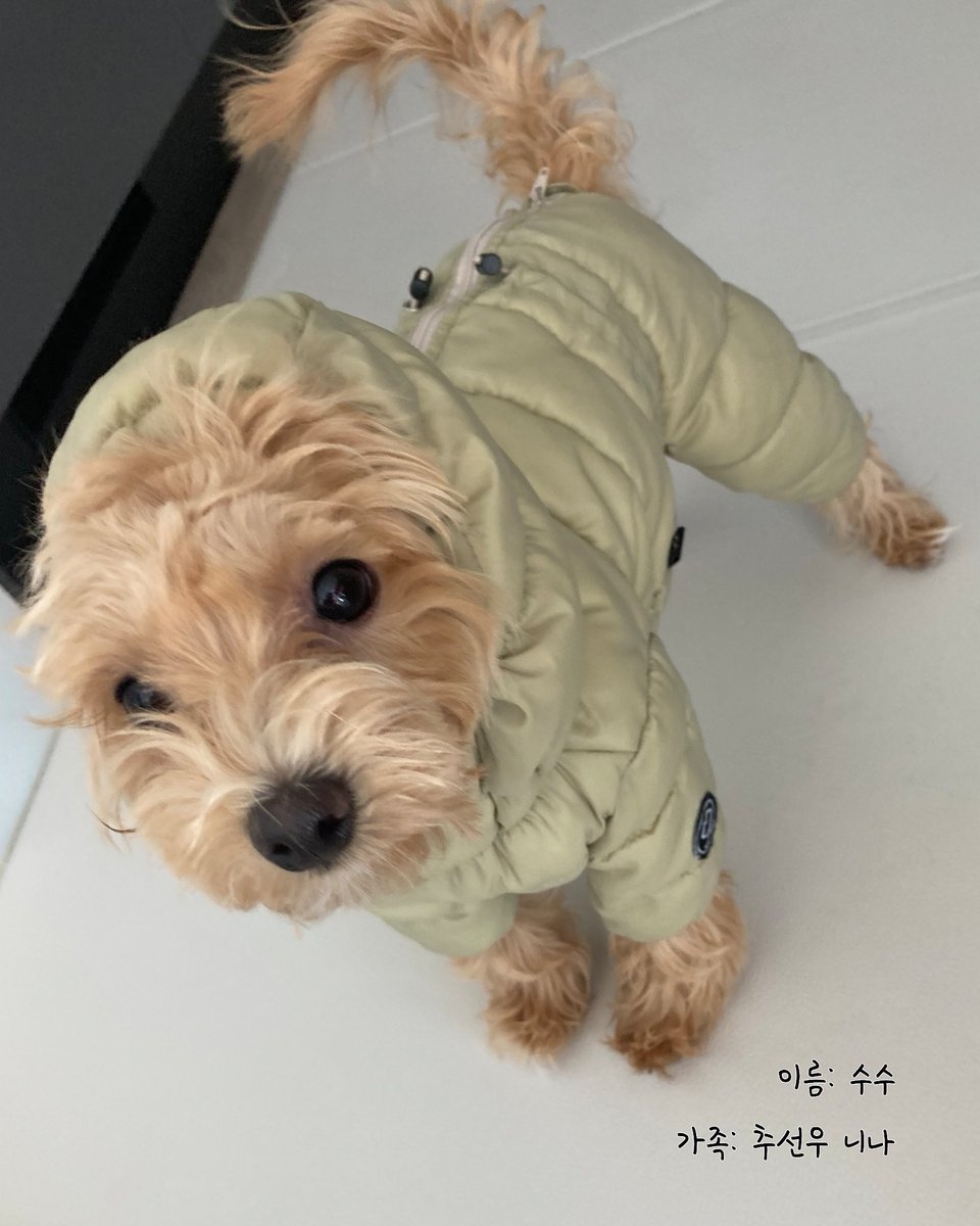 PJanHyang's tweet photo. 이름: 수수
가족: 추선우 니나 https://t.co/wIQGsRtb5Q