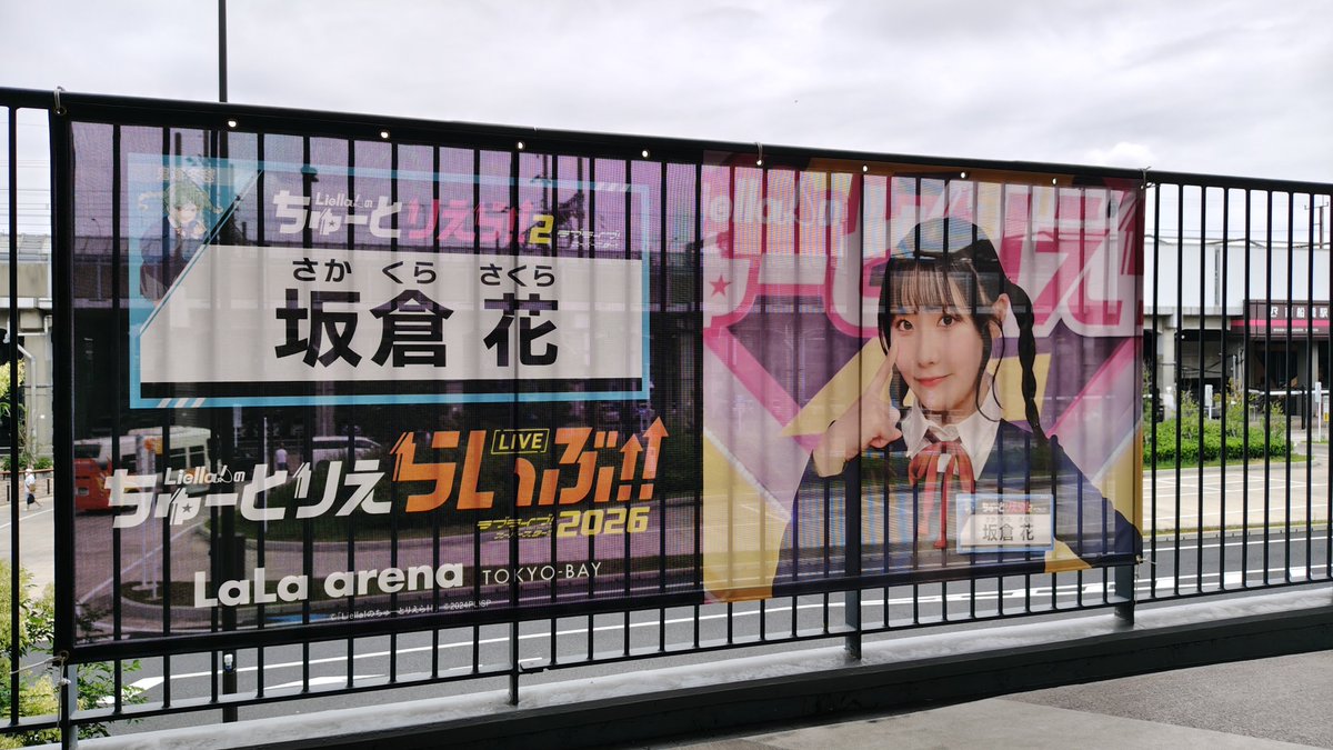 Skmc_ToMarga's tweet photo. ららテラスTOKYO-BAY さくちゃんセット

#ちゅーとりえらいぶ2026  #坂倉花 https://t.co/cGFh7Lq9W5