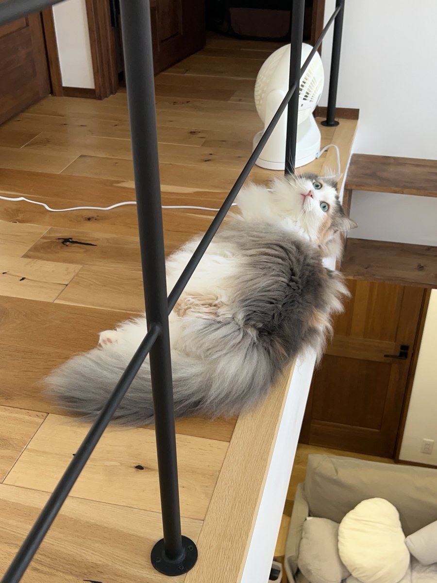 suoxic1's tweet photo. ギリギリを攻めがち https://t.co/7l8cfOnTyq