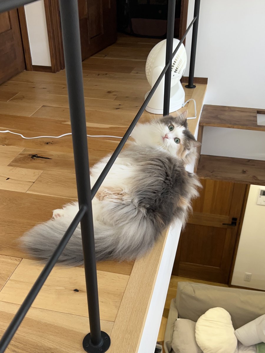 suoxic1's tweet photo. ギリギリを攻めがち https://t.co/7l8cfOnTyq