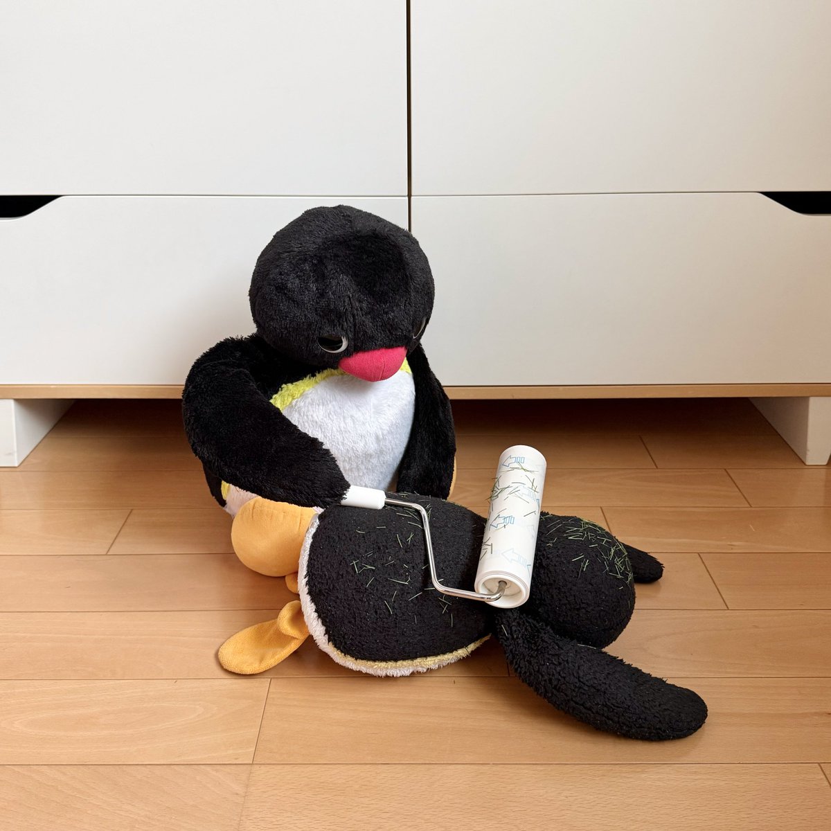 pingmyping's tweet photo. 🐧💨 https://t.co/7Uopsdb82N