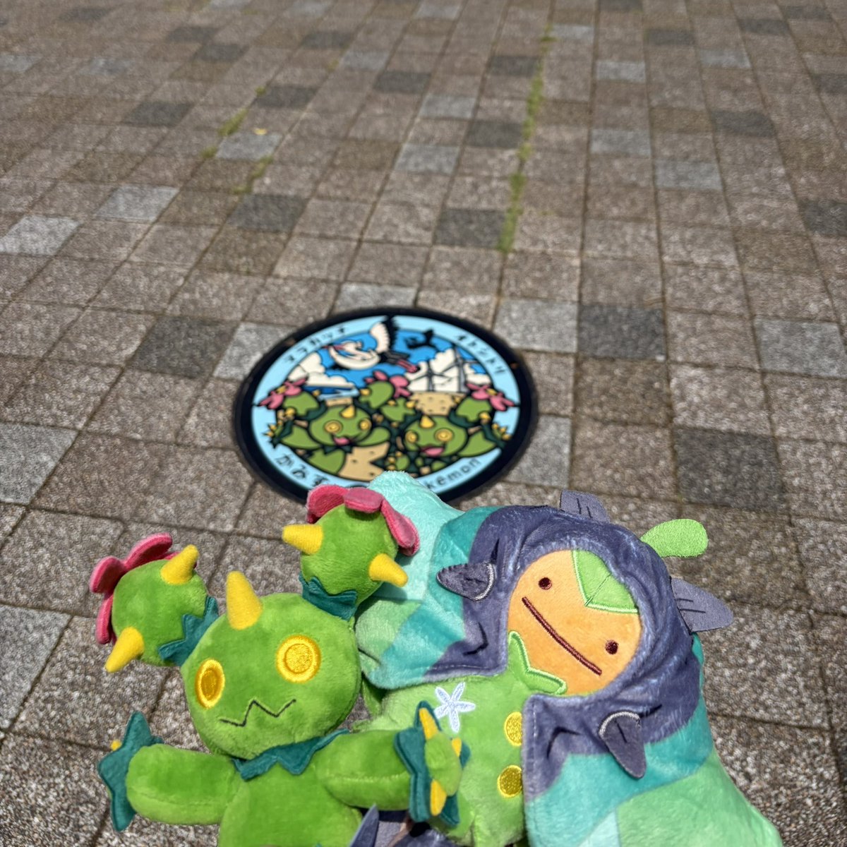 Pro74444's tweet photo. 1年ぶりにマラカッチポケふたに来ました。
ちょうど去年の今頃の自分はいろいろあっておかしくなってた時期でした。でももう今は平気です。これからもポケ活がんばりますよ！！ https://t.co/zzeiyap5so