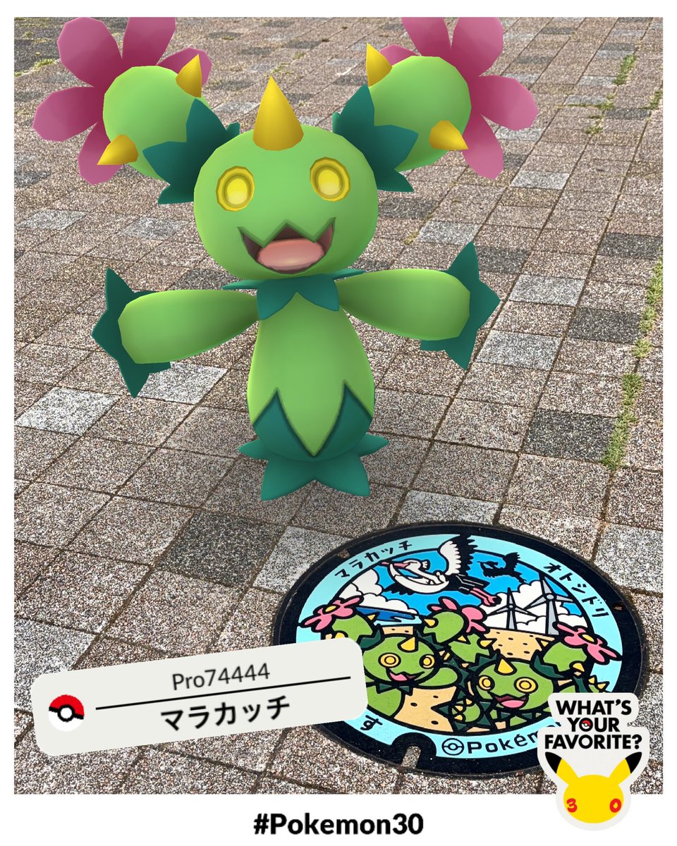 Pro74444's tweet photo. 1年ぶりにマラカッチポケふたに来ました。
ちょうど去年の今頃の自分はいろいろあっておかしくなってた時期でした。でももう今は平気です。これからもポケ活がんばりますよ！！ https://t.co/zzeiyap5so