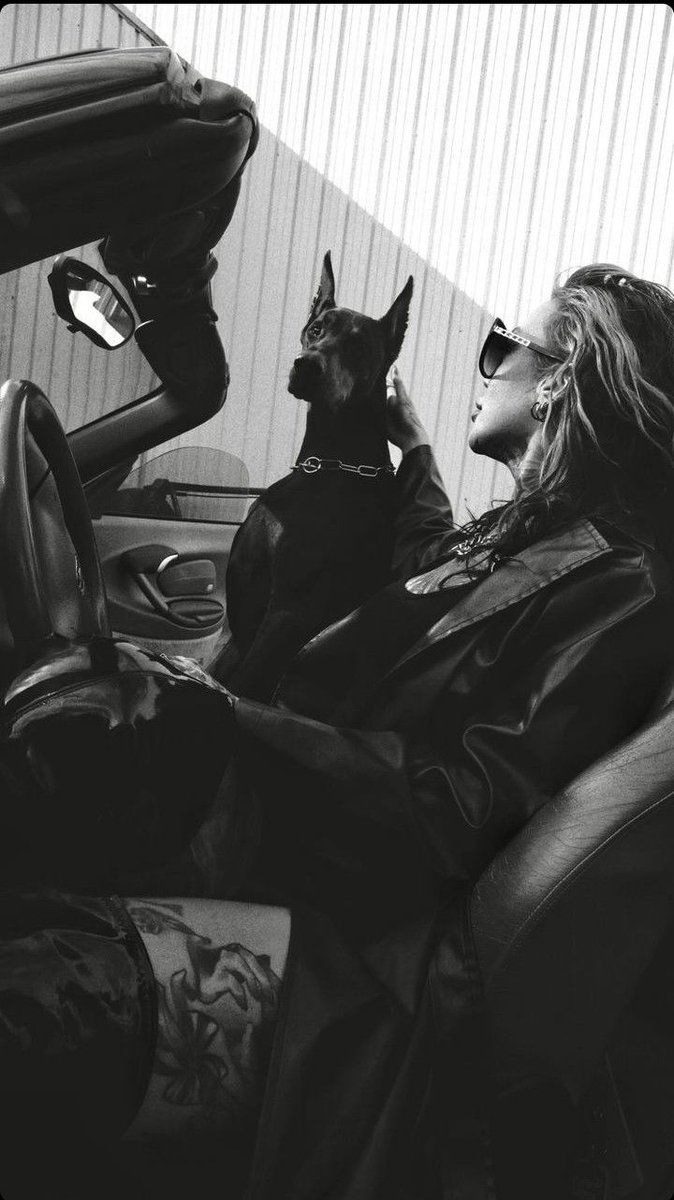 sylviahound3's tweet photo. Love hanging out with my favorite partner.... Our journey doesn't stop here, wanna join us in this amazing journey? Hit the link on my bio.🥰🐾❤️ #DogsAreFamily #Dogmom https://t.co/65RVOWsq1q