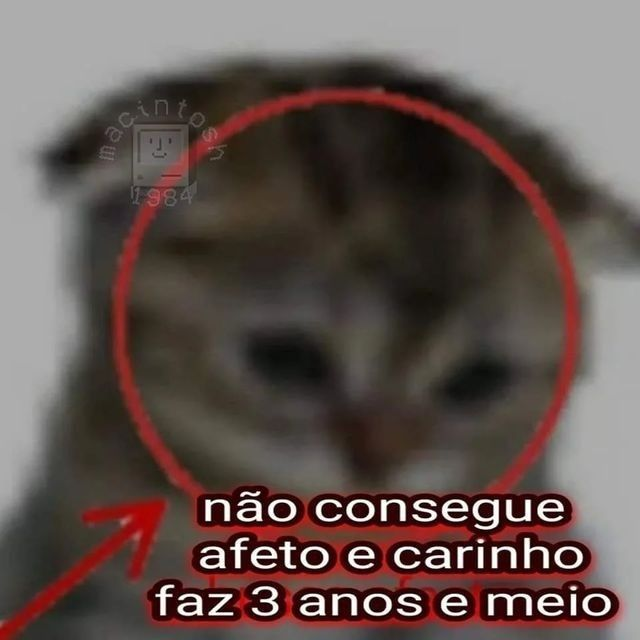 odeiootaco's tweet photo. https://t.co/mPSCdleU04
