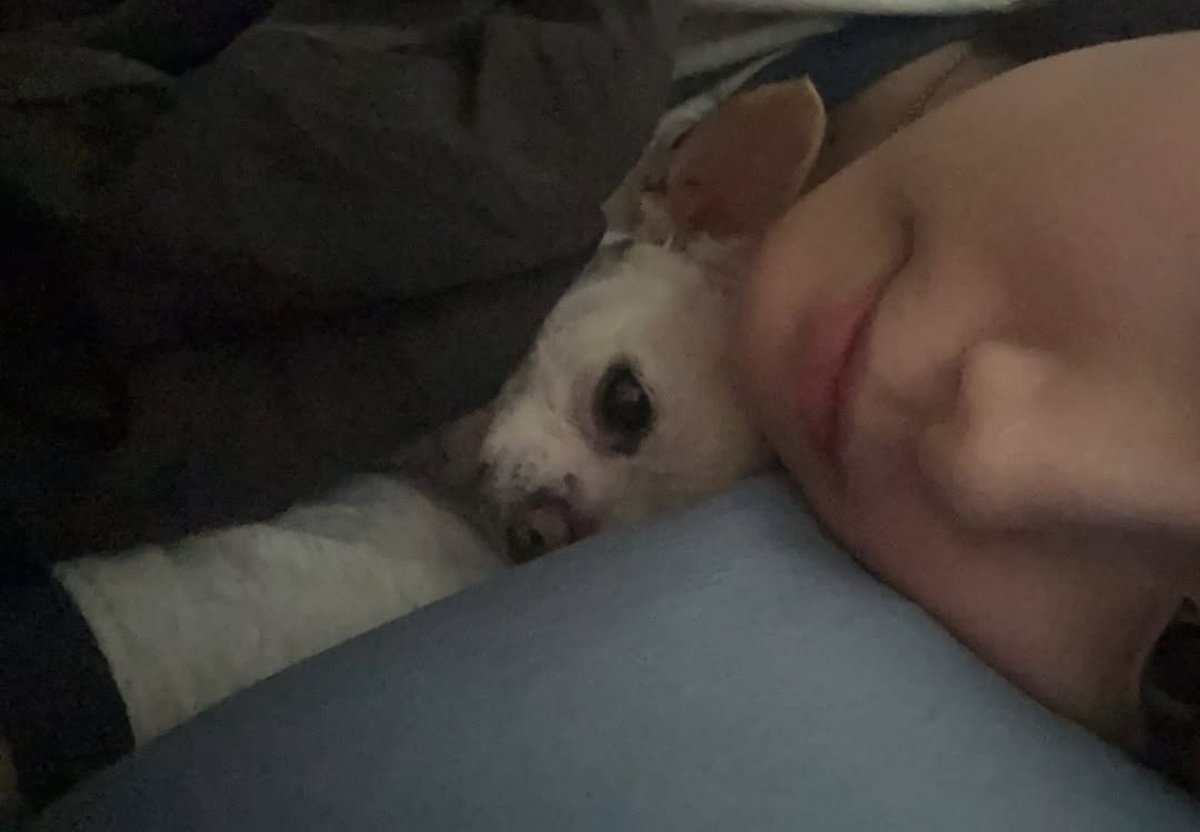 seoyoungeunpics's tweet photo. 260728 || Youngeun ( 0.e_na ) update on instagram story (1)

🦊:
Warm cuddles.
You're so pretty, seo sarang * the dog's name*.
My two daughters. https://t.co/s9ewpQTivc