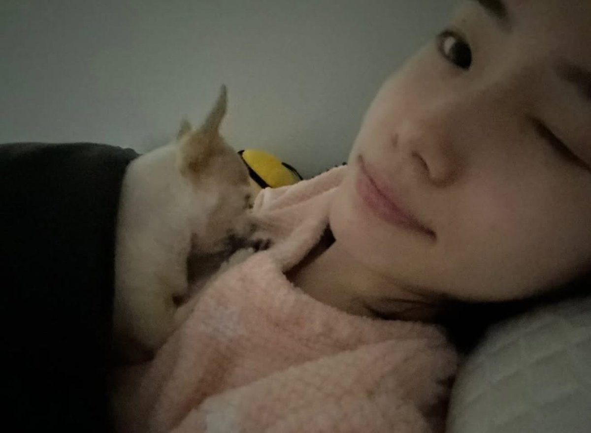 seoyoungeunpics's tweet photo. 260728 || Youngeun ( 0.e_na ) update on instagram story (1)

🦊:
Warm cuddles.
You're so pretty, seo sarang * the dog's name*.
My two daughters. https://t.co/s9ewpQTivc