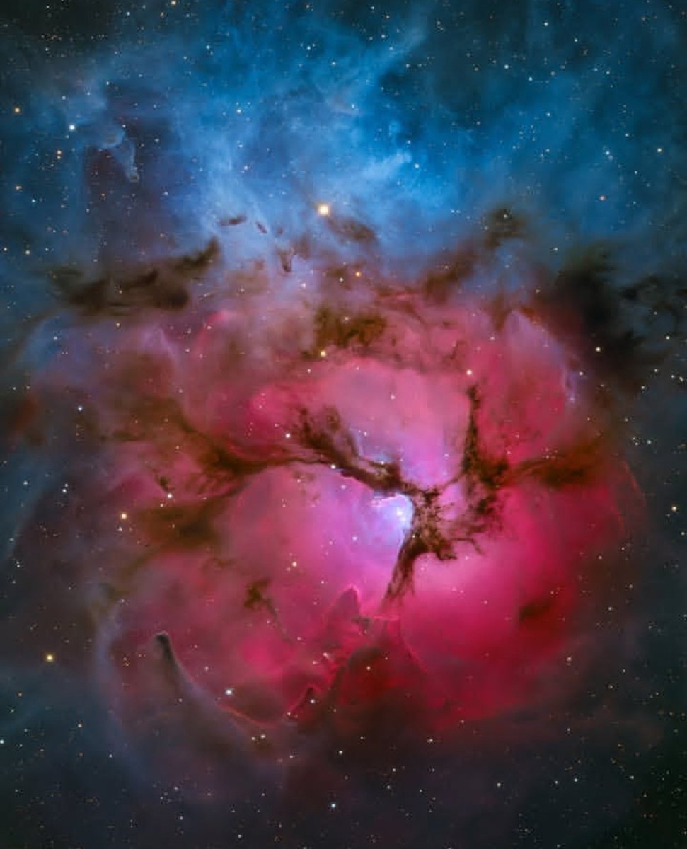 maiz_julio's tweet photo. M20 Trifid nebula in Sagitaris by adamblock64 (Instagram) https://t.co/w4vE8hSJEU https://t.co/XkCb16Wvko