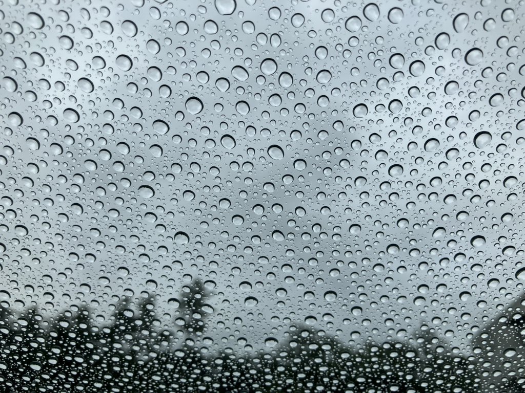 kns_one's tweet photo. 水滴を弾く車の窓を見て、草間彌生の版画展を見に行きたくなりました。 https://t.co/0sdIUvTffO