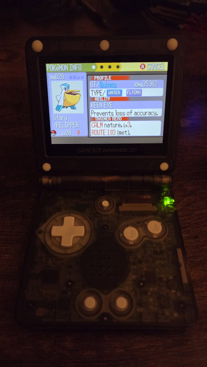 _TheQuincy's tweet photo. @junebugparadise Do you have a vid for reference? I've never done any of that stuff but am interested in checking it out.

This is my team I started like 2 months ago- I found a full odds Baltoy while searching for an Adamant nature https://t.co/8PIsGBm4V3
