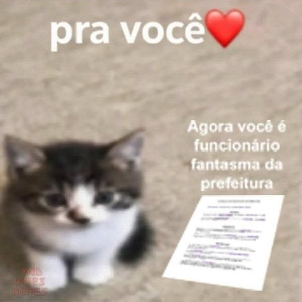odeiootaco's tweet photo. parabens https://t.co/BPKgfJKz0z