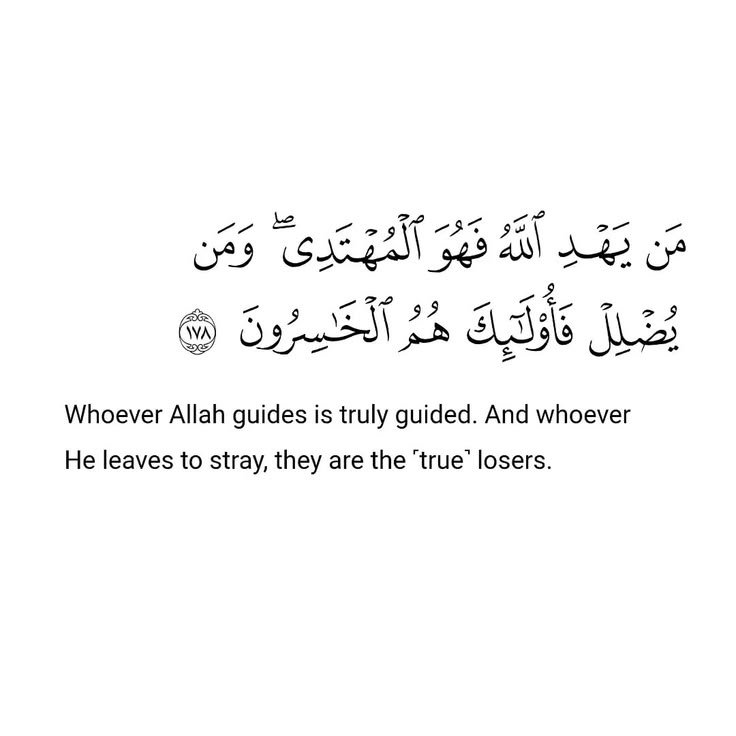 Muslim__Ummah_ tweet picture